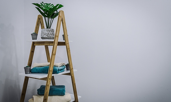 Plant on a towel stand